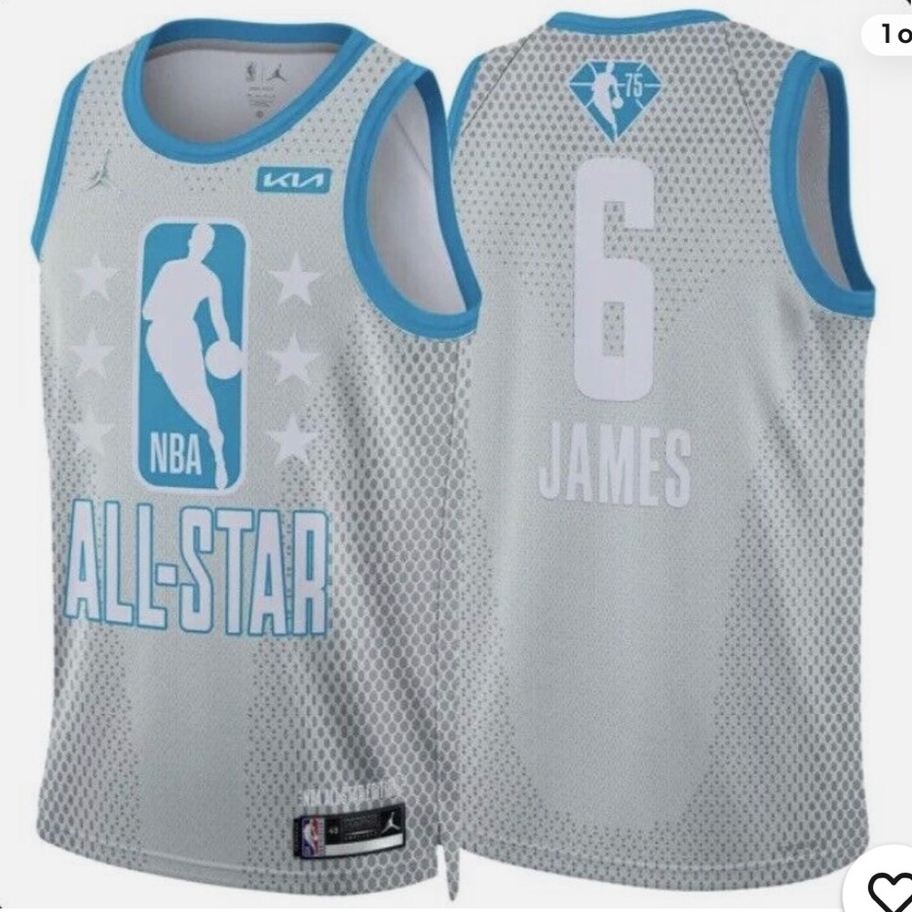 BNWT men’s Jordan Lebron James jersey